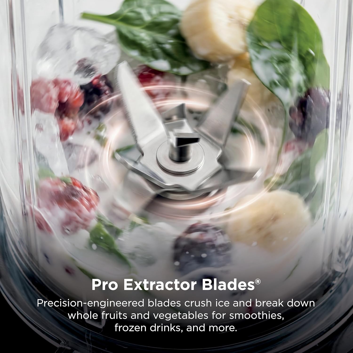 Ninja Fit Personal Blender